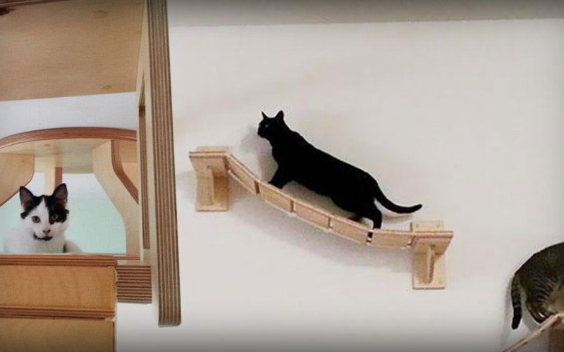 See the Most Amazing “Cat Playground”