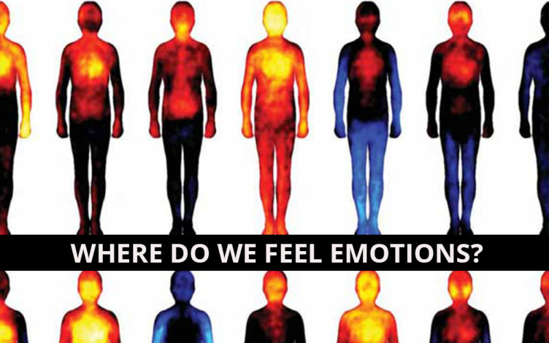 Wondering where you feel emotions in your body? These images will show you!