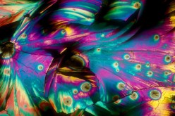 Magnificent Photographs Of Alcohol Under A Microscope