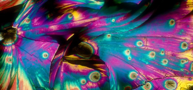 Magnificent Photographs Of Alcohol Under A Microscope