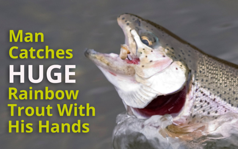 Man Catches HUGE Rainbow Trout With His Hands