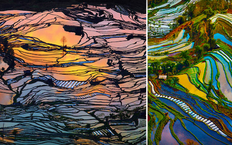Rice Fields That Look Like Abstract Paintings