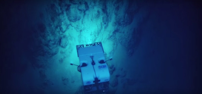 They Dropped A Camera Into The Ocean And Recorded Something Incredible