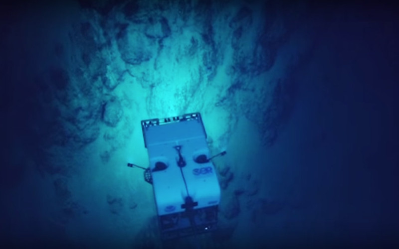 They Dropped A Camera Into The Ocean And Recorded Something Incredible