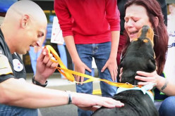Emotional Reunion for Family Dog Found Alive Years Later
