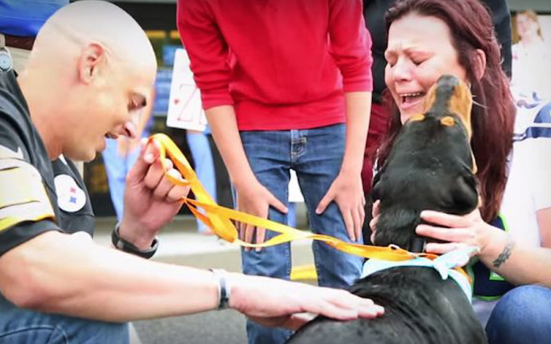 Emotional Reunion for Family Dog Found Alive Years Later