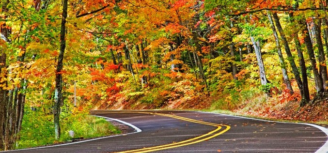 12 INCREDIBLE Places To Drive To See The Colors Of Fall