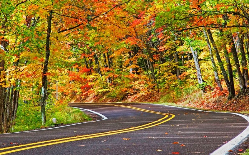 12 INCREDIBLE Places To Drive To See The Colors Of Fall